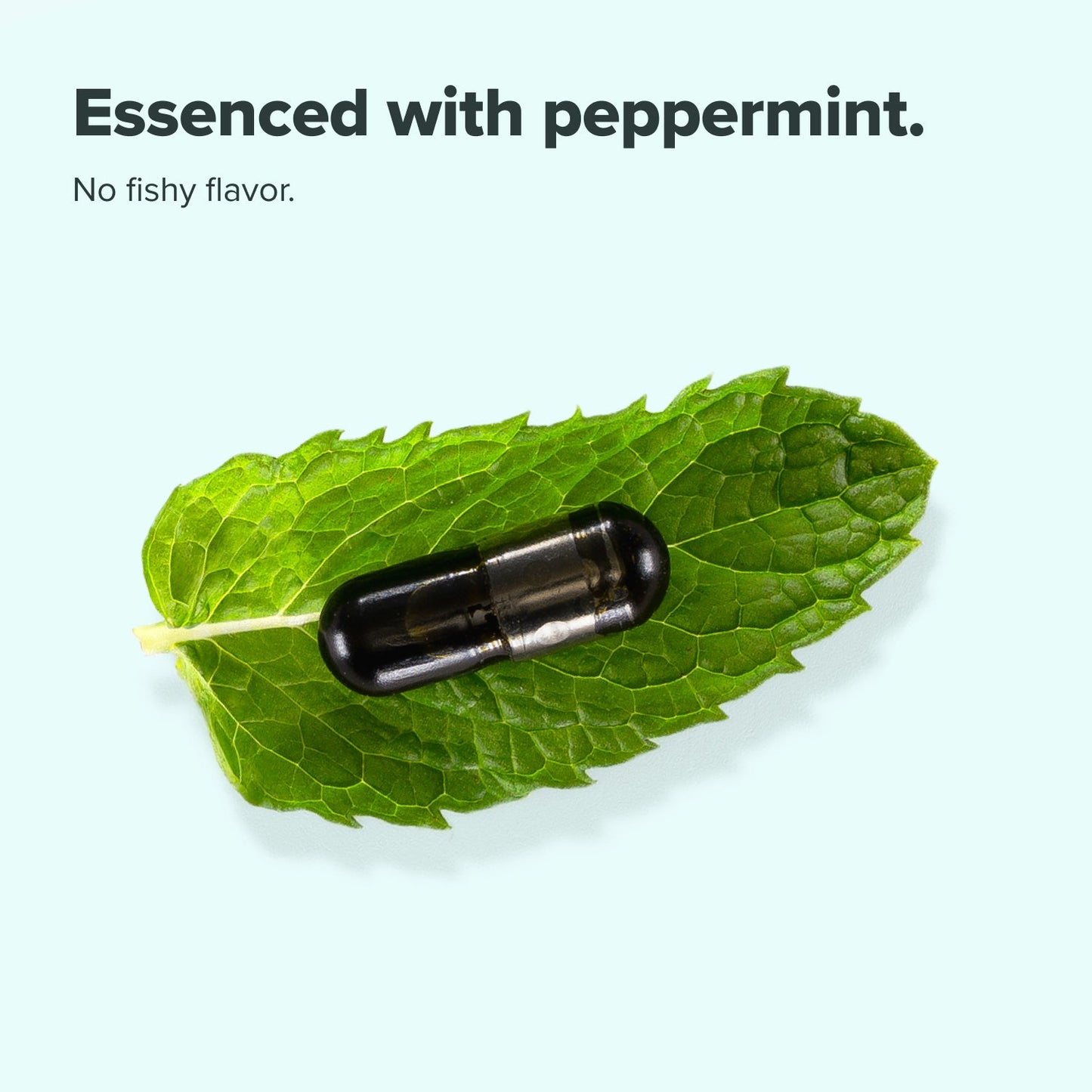 COMPLEMENT Essential 30 Servings